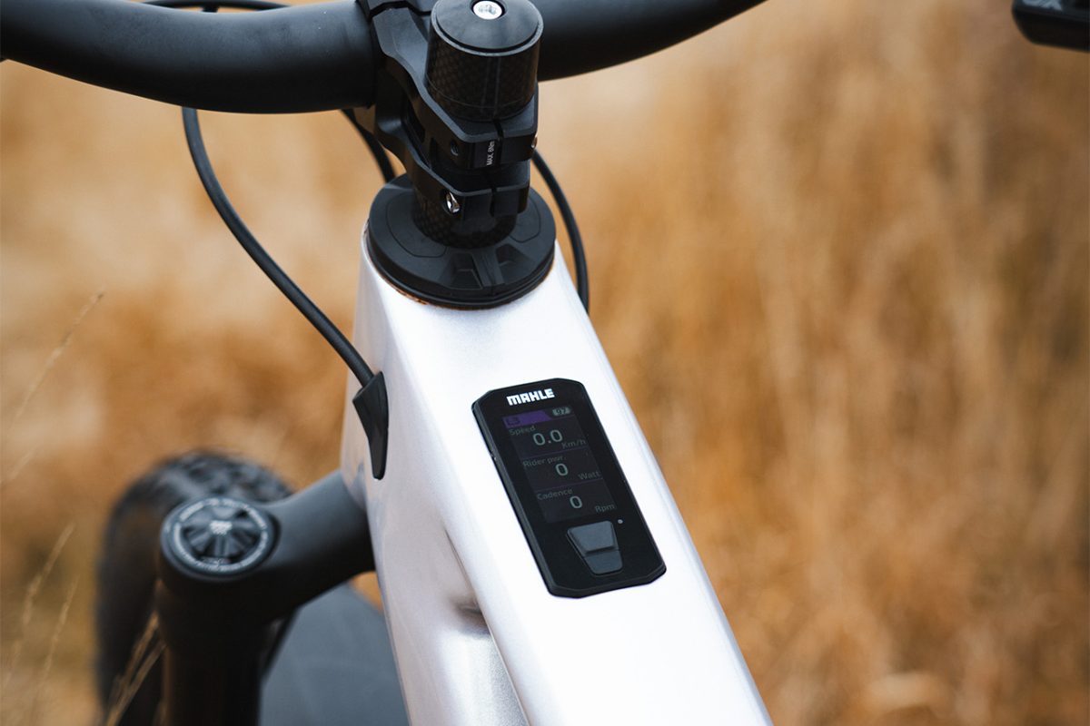 DSC03184_0001_DSC03244