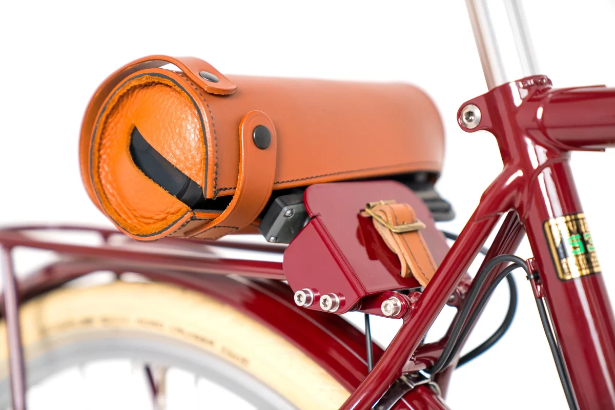 Pashley Briton Electric details 5 s